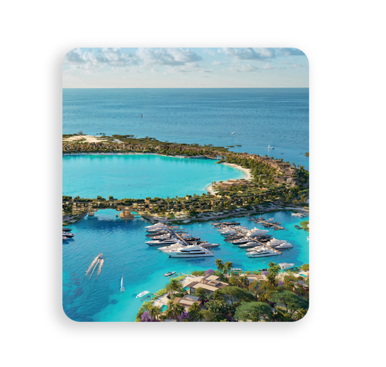 Commercial & Hospitality